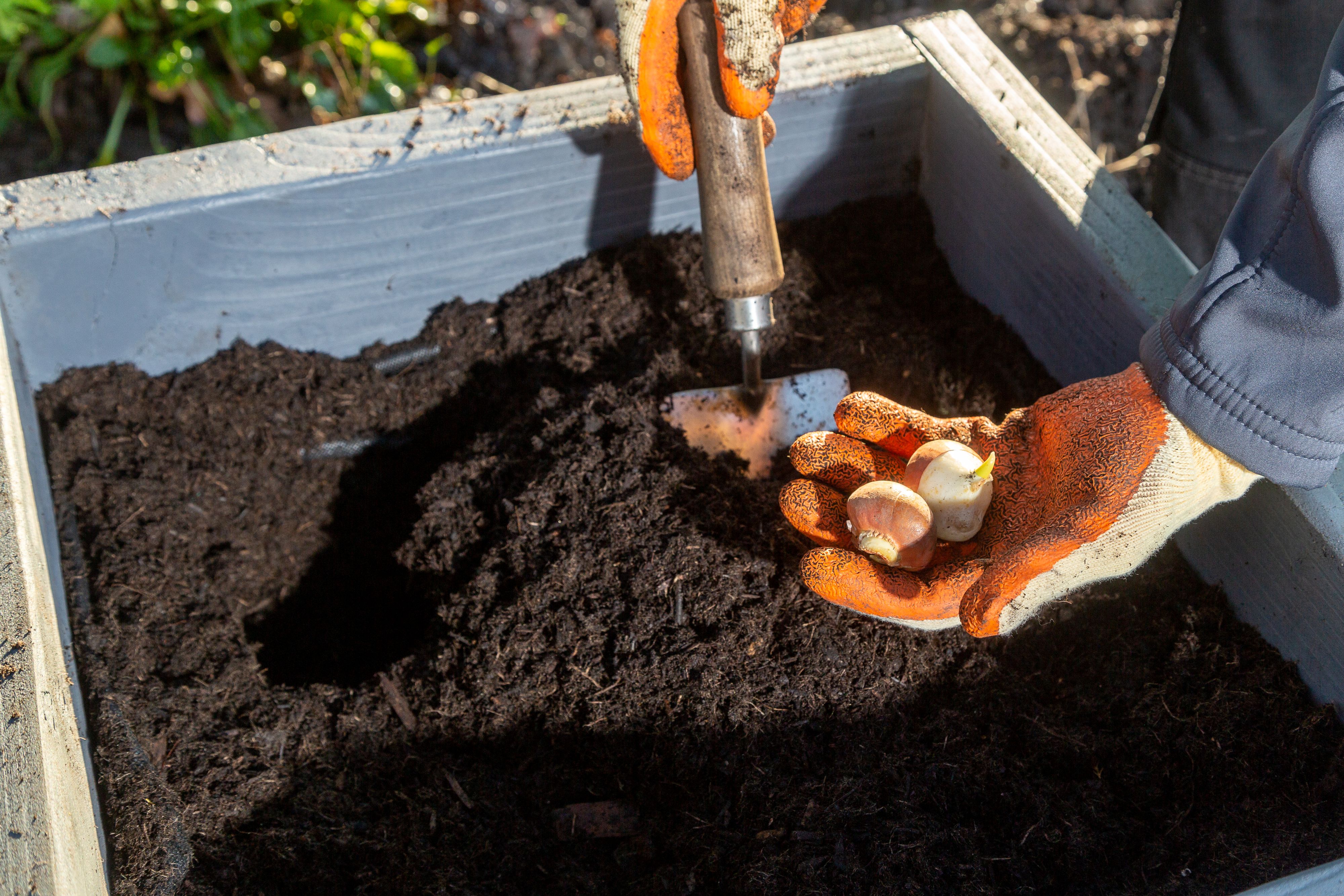 Coalfields Worx: delivering skills and work in Scottish coalfield communities