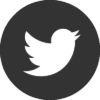 Twitter_Social_Icon_Circle_Color grey